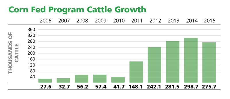 Program-Growth-Graph